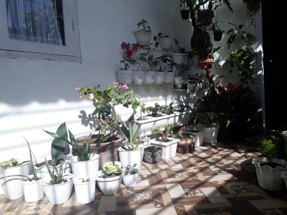 Bumimi Homestay Painan エクステリア 写真