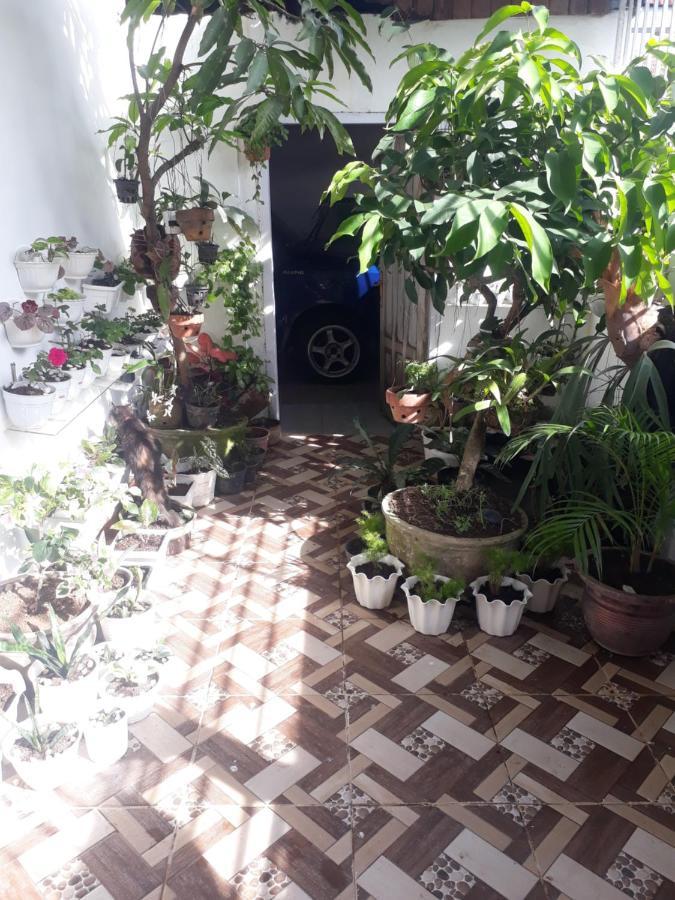 Bumimi Homestay Painan エクステリア 写真