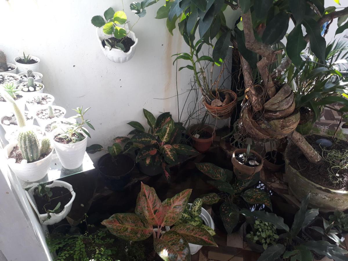 Bumimi Homestay Painan エクステリア 写真